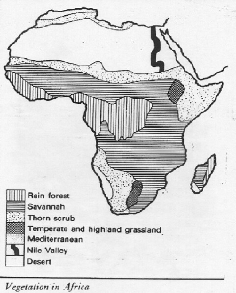 African Vegetation Map